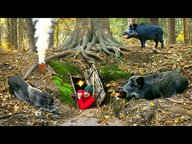 Building a Secret Shelter Deep Inside Big Tree. A Warm and Cozy Bushcraft Dugout