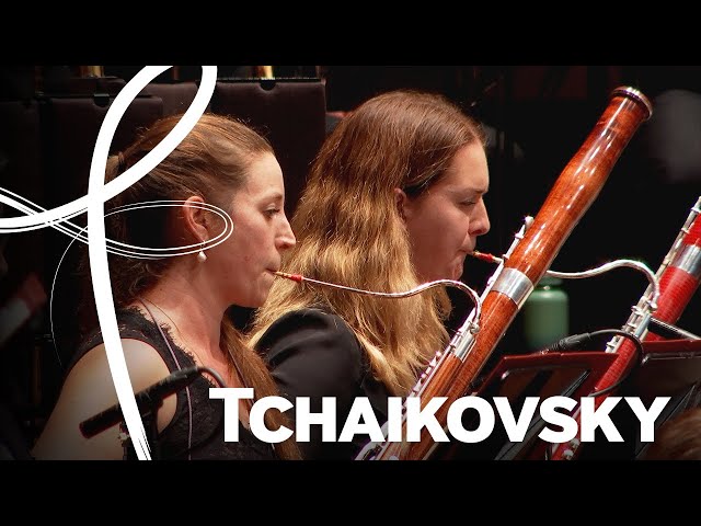 Tchaikovsky: Symphony No.6 'Pathétique' - IV. Adagio lamentoso (Jac van Steen/BSO)