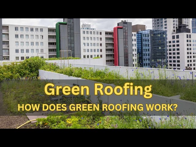 Green Roofing: An Introduction to Vegetative Roofing Systems