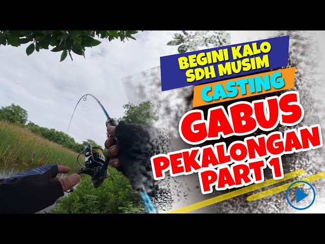 KALO DAH MUSIM JANGAN SIA-SIAKAN II Casing Gabus Pekalongan Part 1