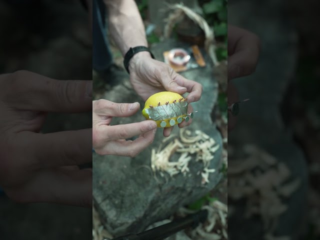 How To Start A Fire With A Lemon!🍋🔥✔ #fire #survival #camping #bushcraft