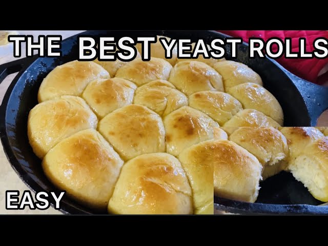 HOW TO MAKE YEAST ROLLS ~DINNER ROLLS EASY FOR BEGINNERS