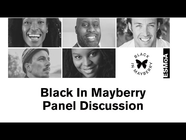 Black In Mayberry Panel Discussion