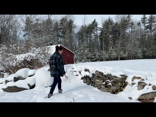 Embracing Each Day | Thrifting | Snow Seeds | Cozy Comfort Food | Preserving  history