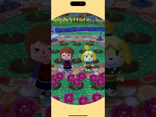 2025 Animal Crossing Pocket Camp Complete - New Events, New Fortune Cookies, New Items!