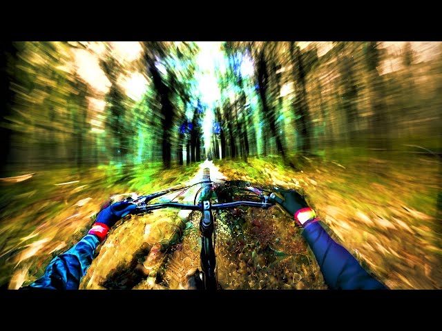 Trippiest Mountain Bike Ride Ever! (POV) Psychedelic Visuals [No Music] 4K