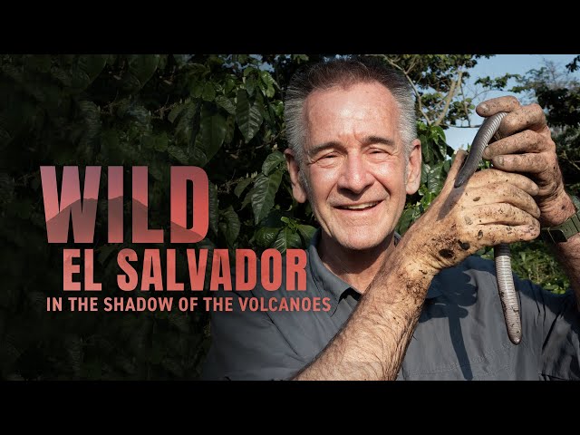 Wild El Salvador: In the Shadow of the Volcanoes