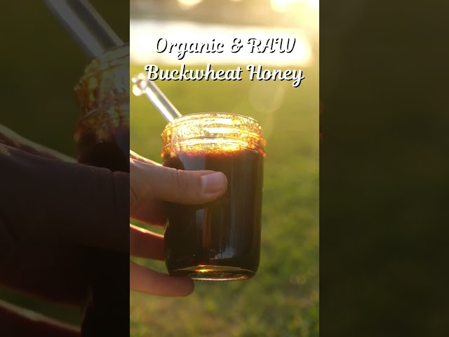 Our Strongest Flavored Honey | Liquid Gold Honey