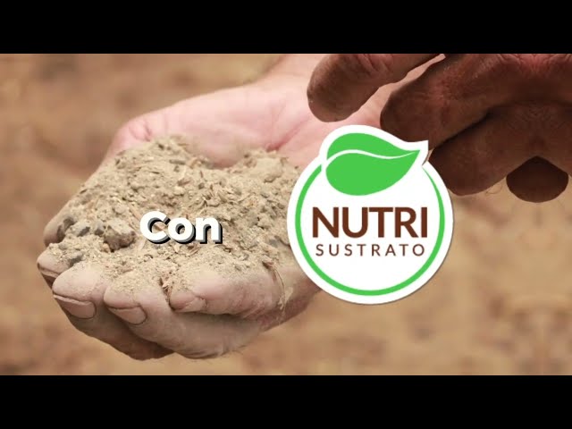 Nutrisustrato - Spot publicitario