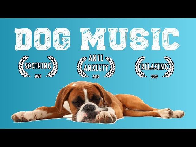 Music For Dogs ~ Dog Music to Sleep ~ Music for Dogs to relax