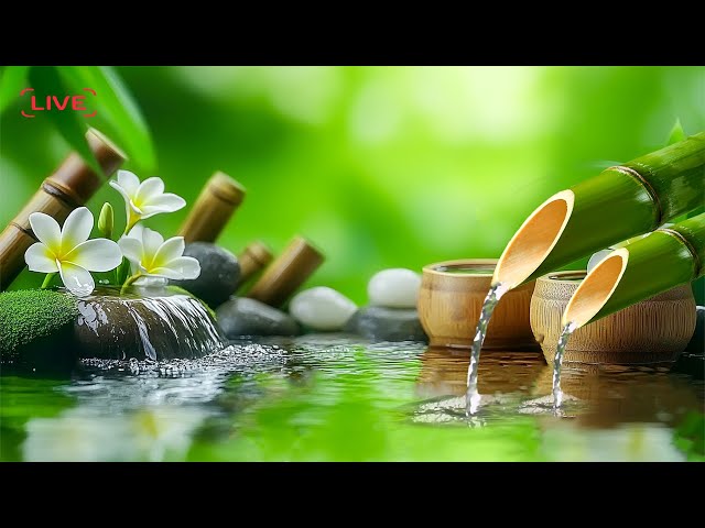 Bamboo Water Fountain Healing 24/7 - Music to Soothe Anxiety, Lift Depression, and Heal the Soul