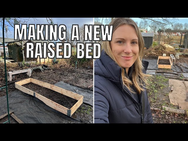 MAKING A NEW RAISED BED / ALLOTMENT GARDENING UK