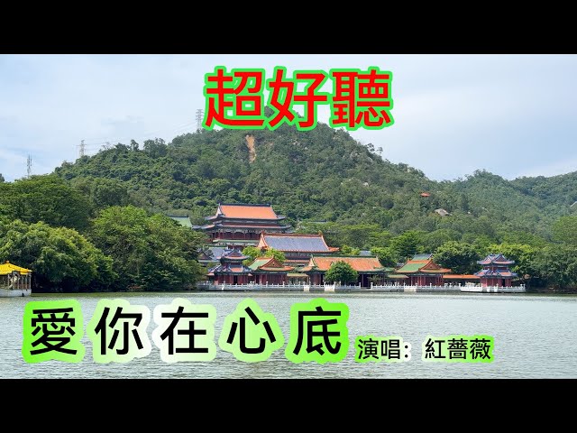 愛你在心底_红蔷薇（超好聽） - 澳琴海 China tourist attractions video: beautiful Zhuhai