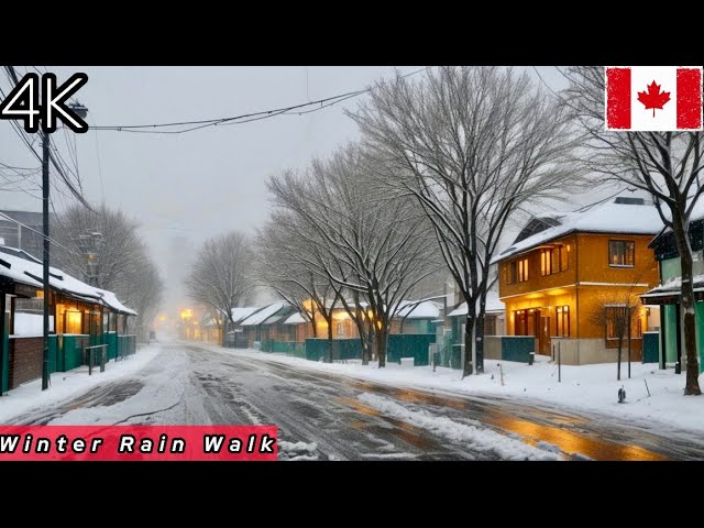 Experience  Heavy Rain in Winter Ambience | 4K HDR Walk | Canada