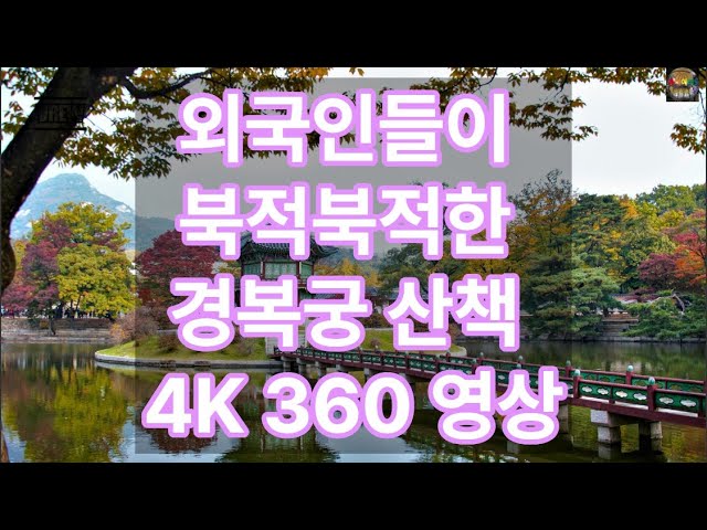 외국인들이 북적북적한 경복궁 산책 4K 360