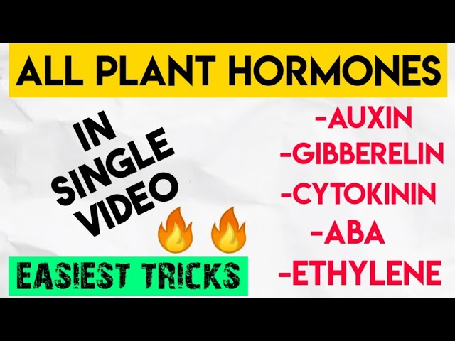 Super Trick To Learn "ALL PLANT HORMONES" | One Shot Video | NEET