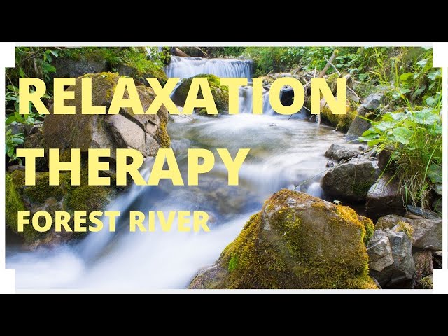 Relaxation Therapy ASMR - Peaceful Forest River (2020)