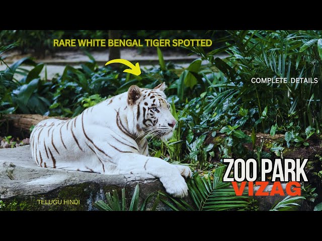 Indira Gandhi Zoological Park Vizag: Timings, Attractions & More!