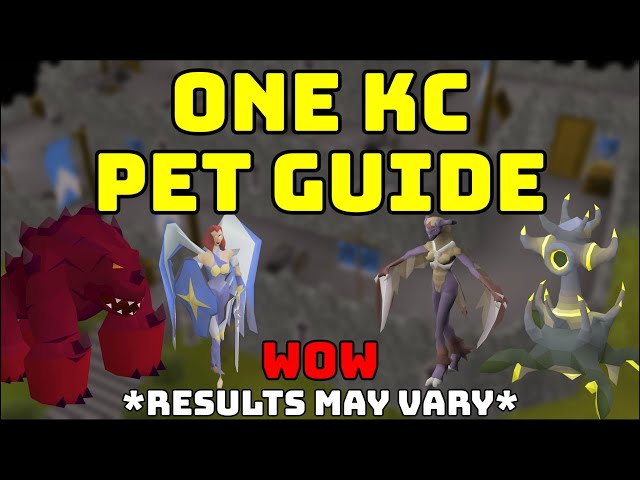 1 KC pet guide OSRS | Only confirmed method