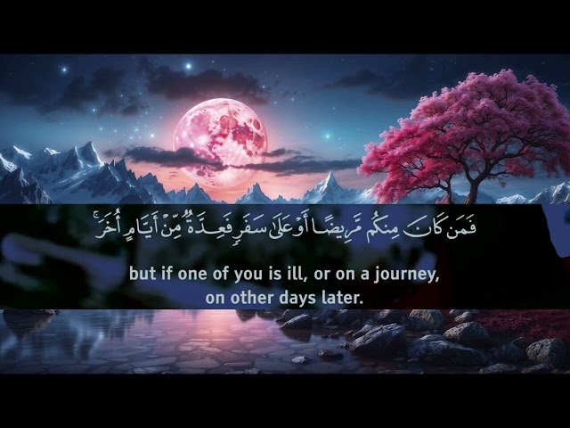 Surah Al Baqarah  Ahmed Khedr heart melting voice❤️ Soothing Quran