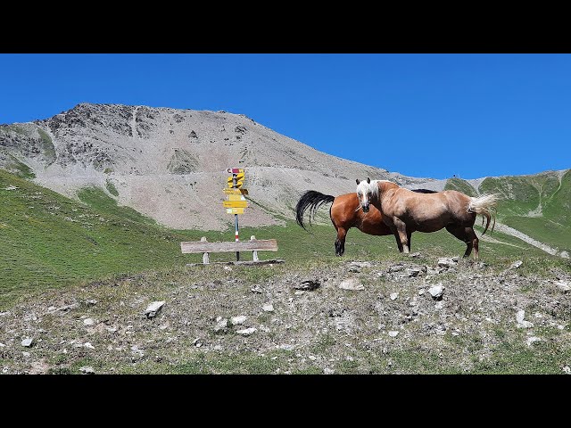 Ironbike Ischgl - Samnaun mit Bahn