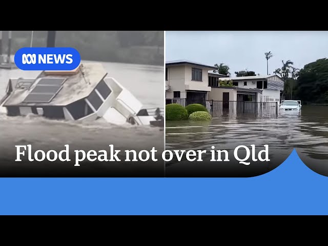 Crocodile warnings as North Queensland gets months of rain in three days | ABC News