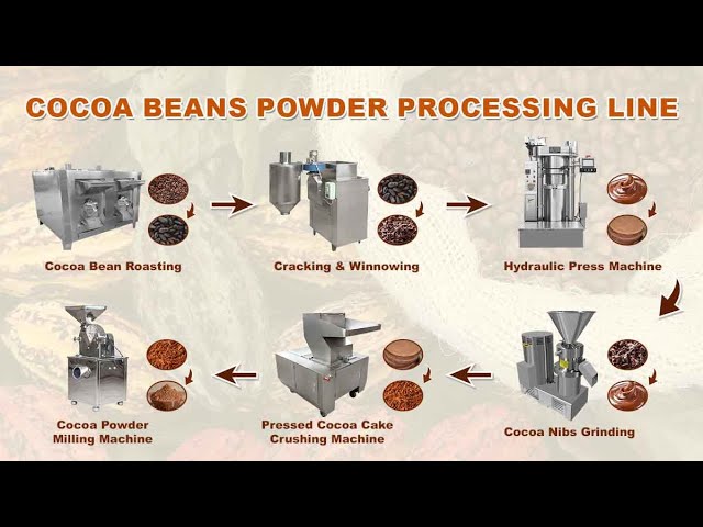 Cocoa Beans Powder Production Line|Cocoa Processing Plant|Cocoa Powder Processing Machine