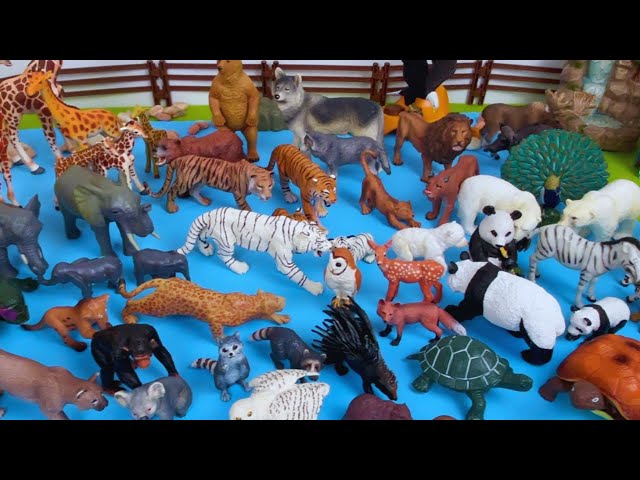 Mini WILD Animals Toys Collection - Learn Animal Names and Sounds for Babies Kids in English!