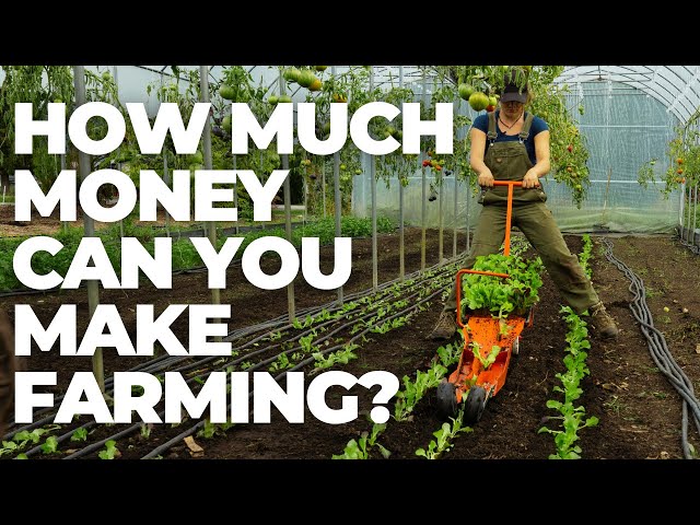 70% Profit Margin?! Unlocking the Hidden Profits in Market Gardening