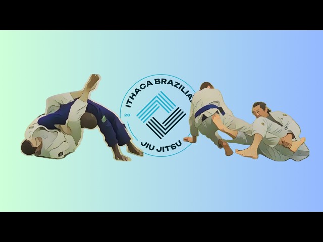 The Best BJJ Videos of 2024 (and How They Can Help YOU)