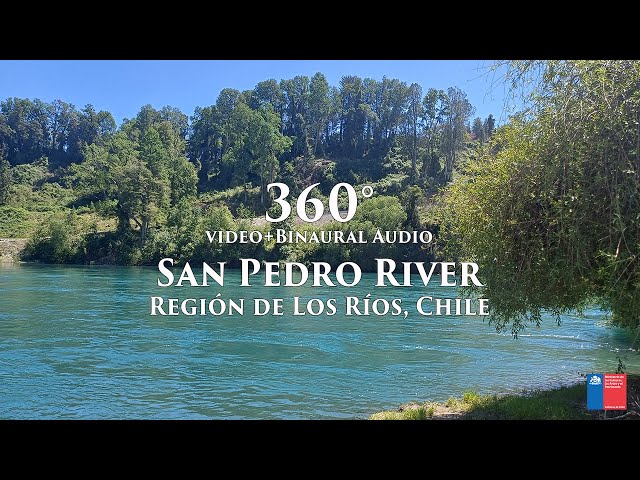 360 View Río San Pedro, Región de Los Ríos