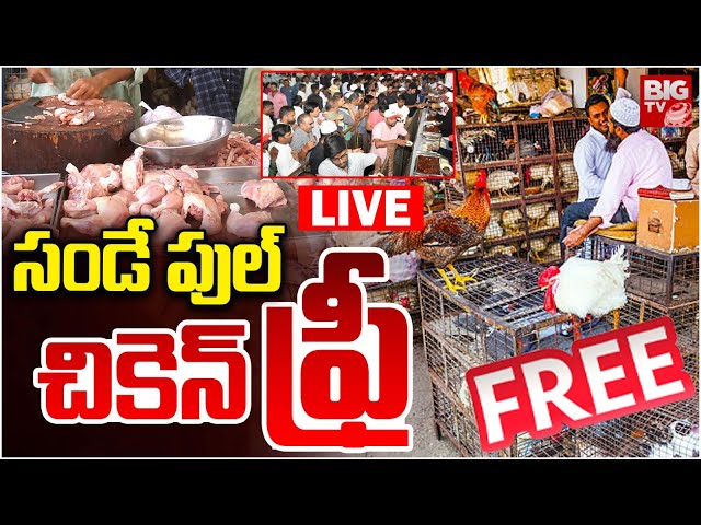 Free Chicken Distribution In Hanmakonda LIVE : సండే పుల్‌ చికెన్‌ ఫ్రీ | Bird Flu | BIG TV LIVE