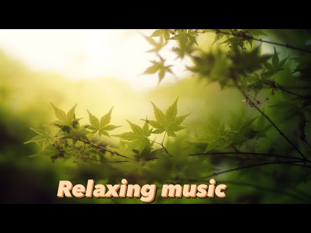 Beautiful Relaxing Music | Calm Your Mind And Body | Meditation Music For Relaxation | Sleep #viral