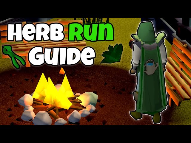 Herb Run Guide | Get Rich With Herb Runs!! | Guide for 2022  [ OSRS ]