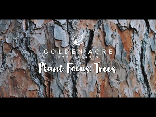 GA Seminar - Plant Focus: Trees