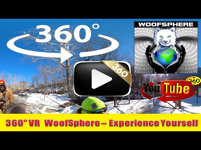 360 Videos | VR | Virtual Reality | WooFSphere | Husky Dog Getting Ready to Mush in Snow