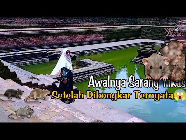 Majapahit history in Tikus Tample Trowulan Mojokerto