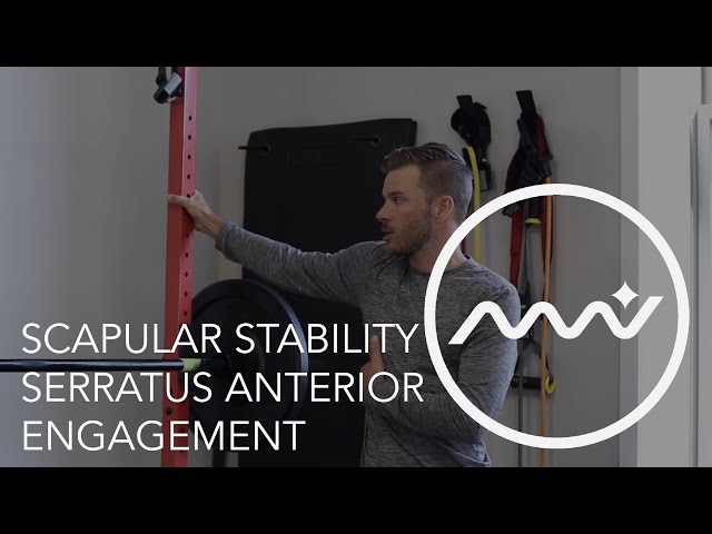 Shoulder Pain and Scapular Stability / Serratus Anterior Engagement