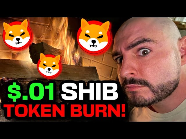 S.01 SHIBA INU TOKEN BURN? (REALISTIC SHIB PRICE PREDICTION 2025)