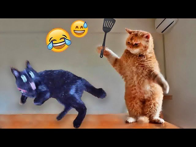 You Laugh You Lose😛Funniest Dogs and Cats 2025😸🐶