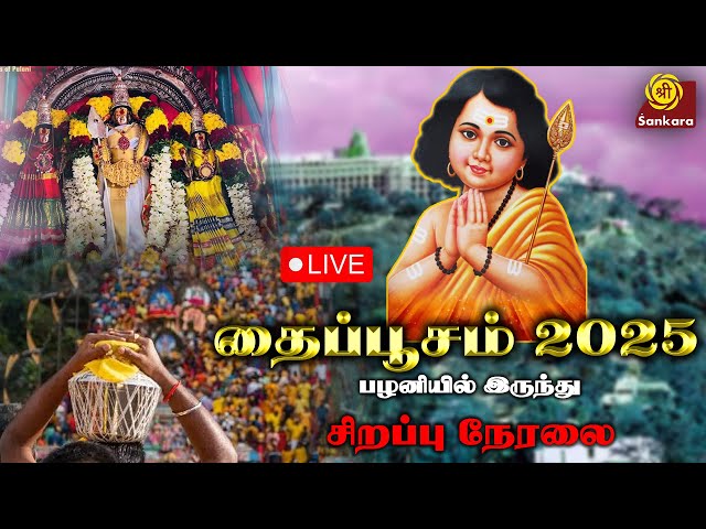 LIVE - பழனி தண்டாயுதபாணி சுவாமி - திருக்கல்யாணம் | Palani Dhandayudhapani Swamy Thirukalyanam