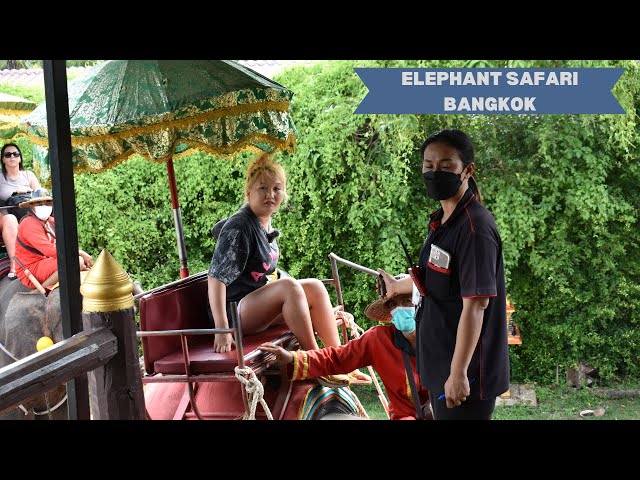 Elephant Ride in Bangkok | Thailand Vlog