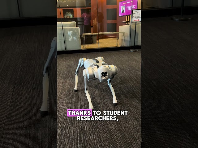 Meet our robot dog, Spot! #science #education