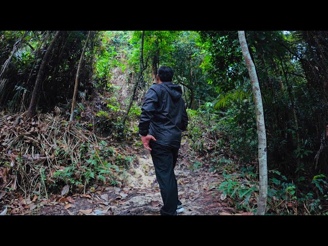 Hampir give up  | Solo Hiking Bukit Saga 410 meter #bukitsaga #nazirannasir