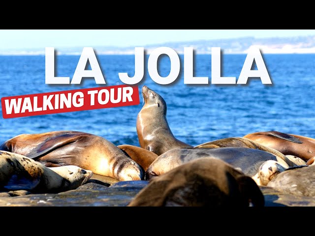 La Jolla, San Diego Walking Tour  - in 4K