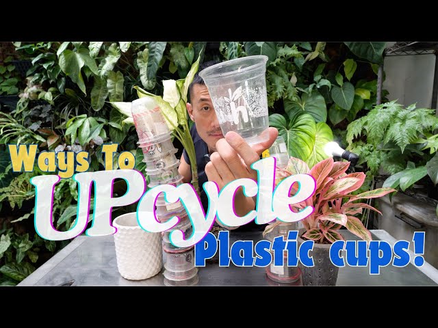 SMART Hacks For Used-Plastic Cups! (For Better Environment and HAPPY Plants)