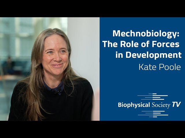 Mechanobiology: The Role of Forces in Development