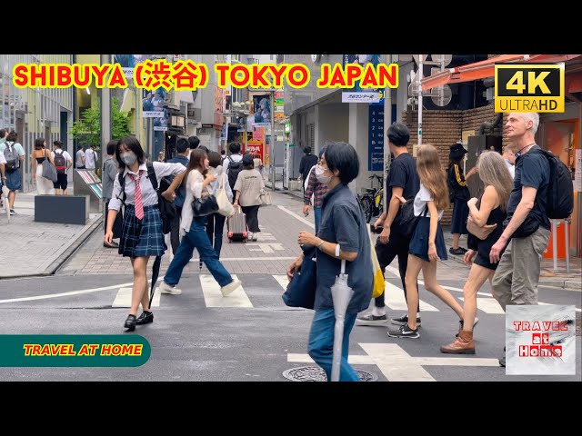 4k hdr japan travel | Walk in Shibuya (渋谷) Tokyo japan |  Relaxing Natural City ambience