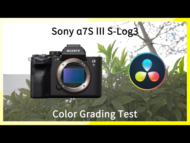 TheWave | Sony a7s3 S-Log 3 S-Gamut3.Cine short video test clip | Color Grading | 4K HDR