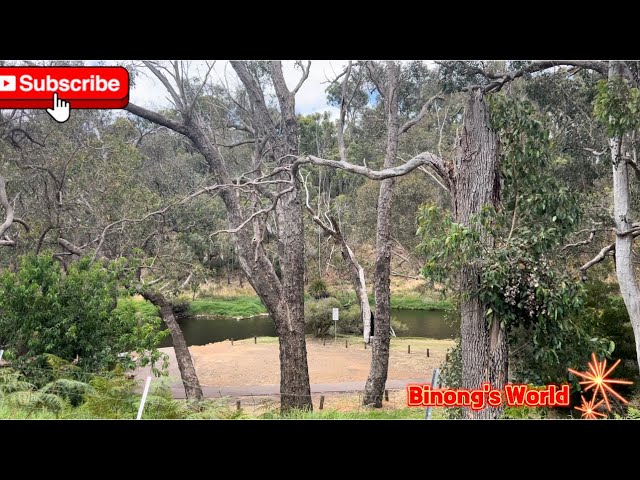 Camping sa Tabing Ilog #bridgetown #familyvlog #pinoyabroad #westernaustralia #campingaustralia